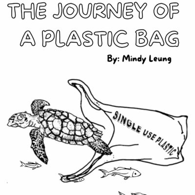 Titled "The Journey of a Plastic Bag" with a sea turtle and a plastic bag.