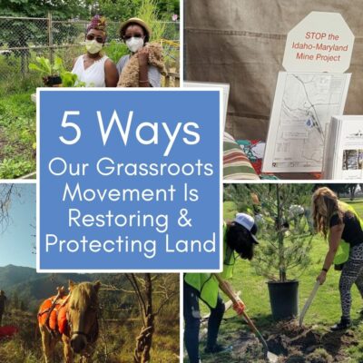 A collage depicting grassroots land restoration efforts. Top left: Two people with plants, wearing masks. Top right: A display with a "STOP the Idaho-Maryland Mine Project" sign. Bottom left: A horse on a hillside. Bottom right: A person planting a tree. Center: Text reads "5 Ways Our Grassroots Movement Is Restoring & Protecting Land.