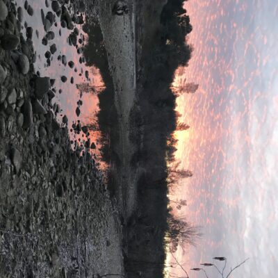 A serene landscape at dusk features a rocky riverbank extending into the distance. The sky is awash with pink and purple hues from the setting sun, reflecting off the shallow water. Barren trees line the horizon, silhouetted against the colorful sky.