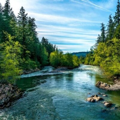 A tranquil river flows through a lush green forest, bordered by tall trees and rocky banks. The sky above is clear with streaks of white clouds, creating a serene and natural landscape.