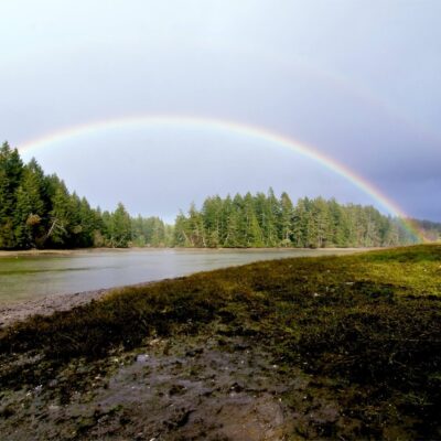 A vibrant rainbow arches over a serene river surrounded by lush, green forest. The sky is partly cloudy, allowing the rainbow's colors to stand out against the backdrop. The riverbank is soft and muddy, with grass and moss adding texture to the scene.