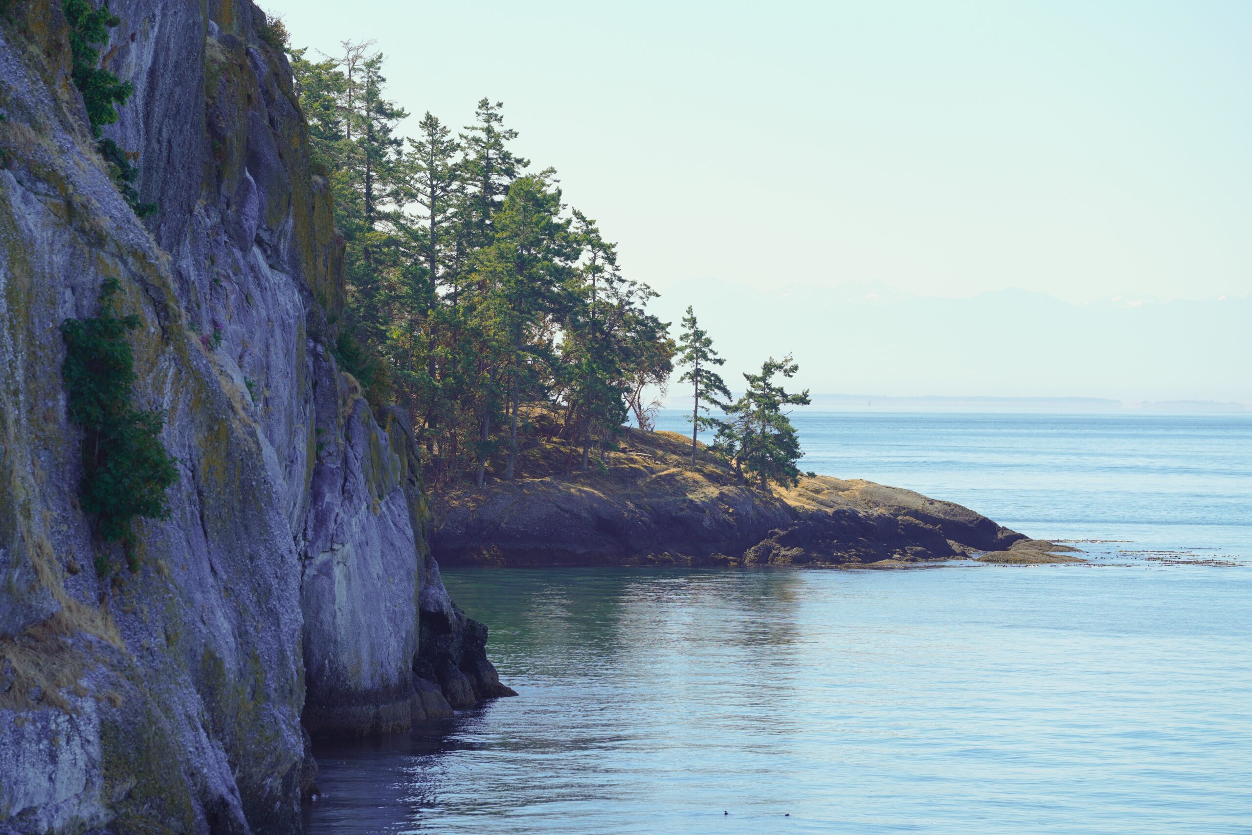 Grantee Spotlight: Friends of the San Juans - Rose Foundation