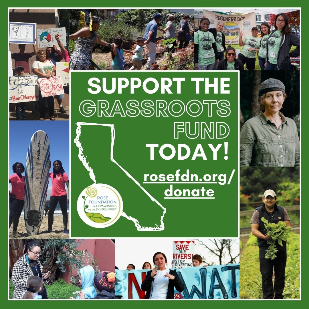 Support the Grassroots Fund today!