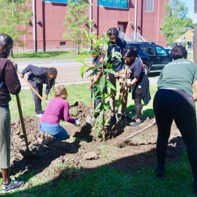 A group of people is gathered around a young tree, digging and working together to plant it in the ground. They are outdoors on a sunny day, near a large brick building. Some are using shovels, and one person is crouching down to handle the soil.