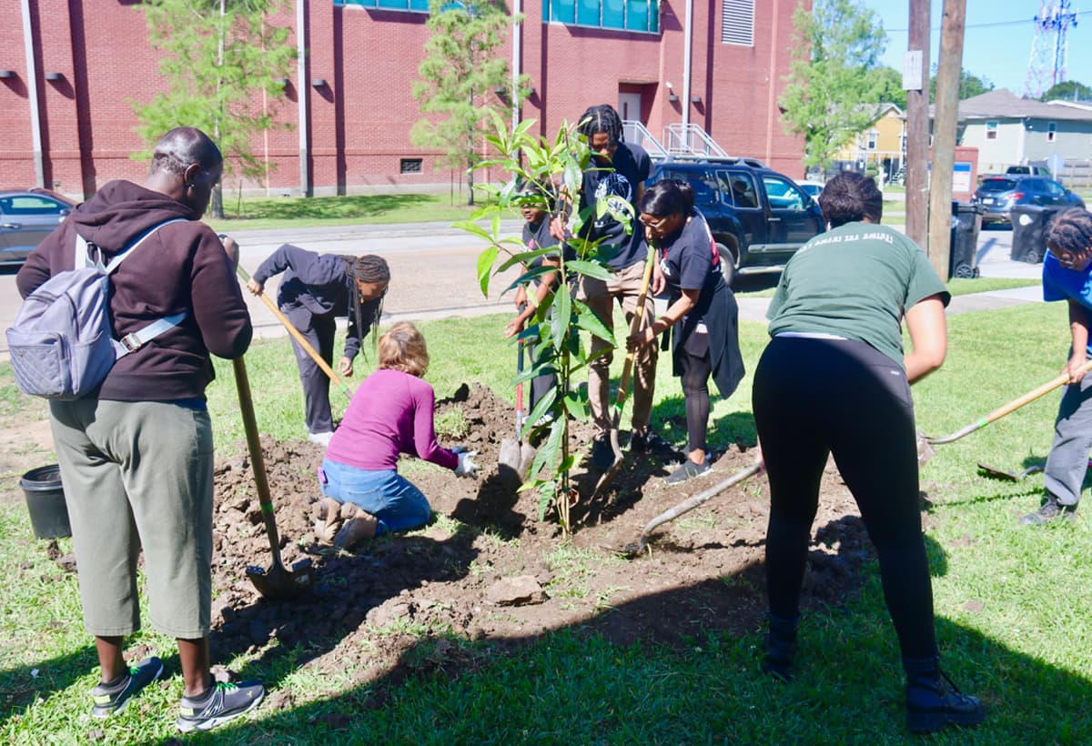 A group of people is gathered around a young tree, digging and working together to plant it in the ground. They are outdoors on a sunny day, near a large brick building. Some are using shovels, and one person is crouching down to handle the soil.