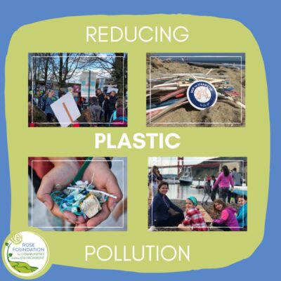 A collage of four images related to reducing plastic pollution. Top left: People protesting with signs. Top right: Trash, including plastic, on a beach. Bottom left: Hands holding plastic debris. Bottom right: People cleaning a beach. The Rose Foundation logo is at the bottom left.