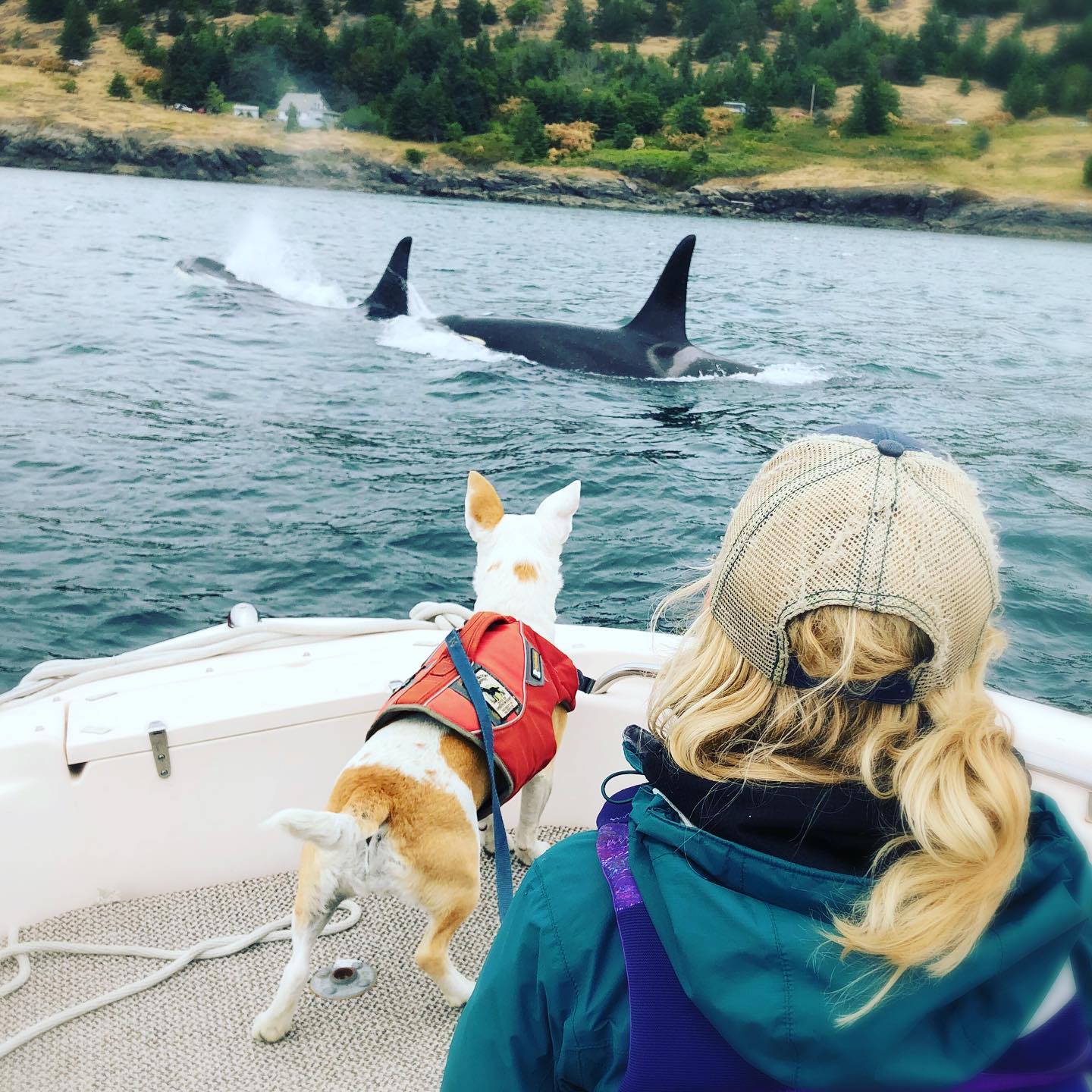 University of Washington Center for Conservation Biology