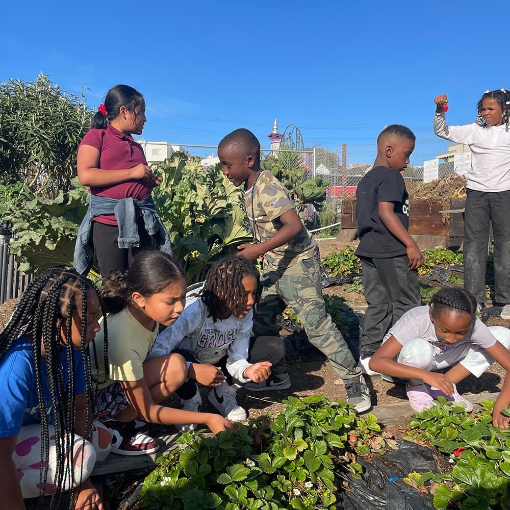 Florence-Fange-Community-Farm