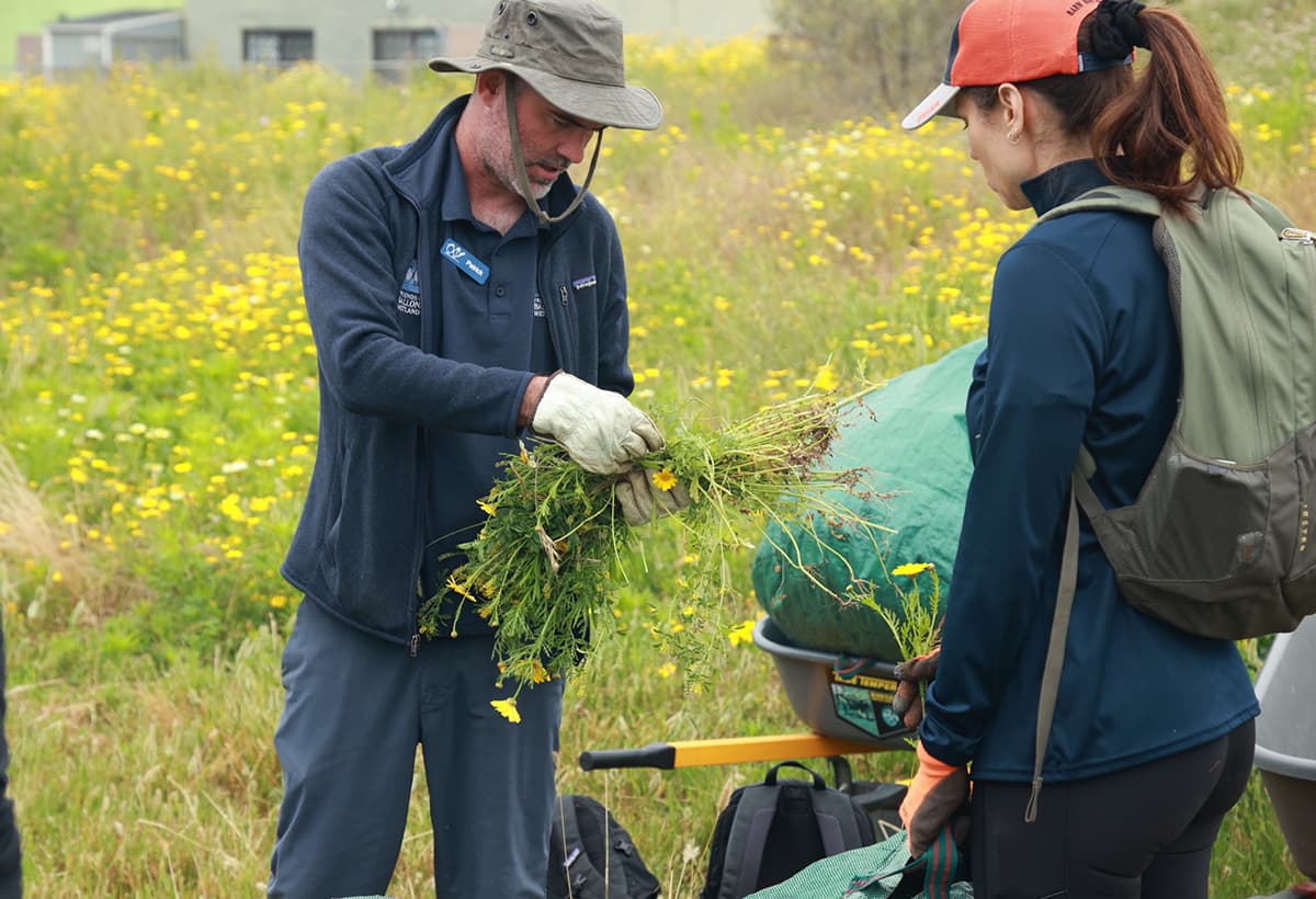 california-watershed-protection-faq