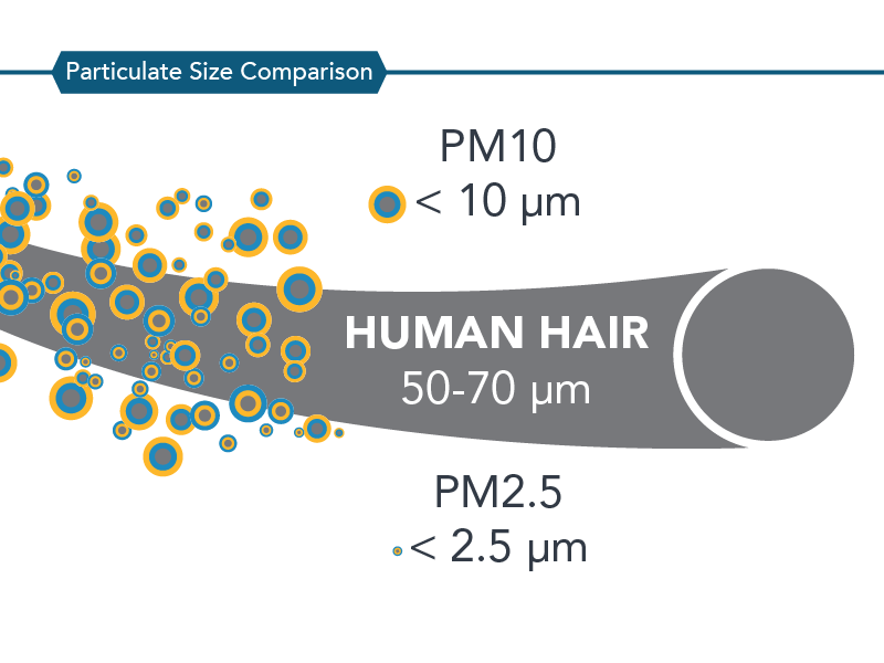Diagram of PM2.5 relative to PM10 and human hair.